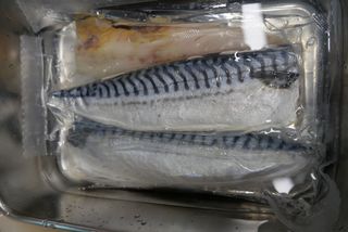 ㈜금호통상 노르웨이 고등어 900g (6~10편) — 5점을 준 리뷰어가 2023년 6월 올린 사용 사진