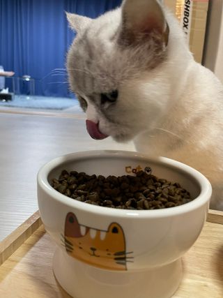 부먹부부님이 올린 리뷰 사진 2