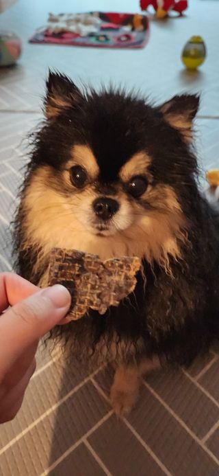 성욘님이 올린 리뷰 사진 2