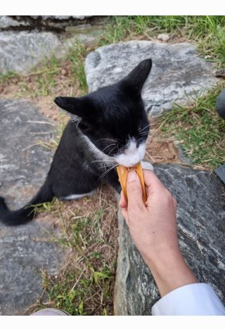 임방글님이 올린 리뷰 사진 3