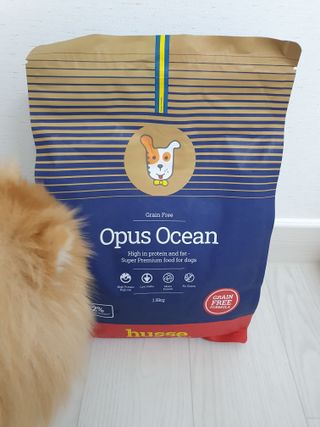 양용언님이 올린 리뷰 사진 2