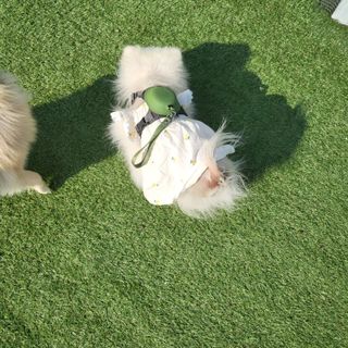 sunny님이 올린 리뷰 사진 3