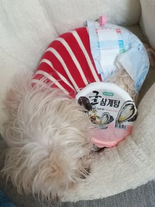 무무님이 올린 리뷰 사진 1