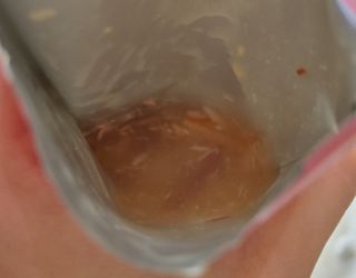 비타크래프트 고양이 수프 50g 3가지맛 x4팩씩 총 12팩 — 5점을 준 리뷰어가 2021년 8월 올린 사용 사진