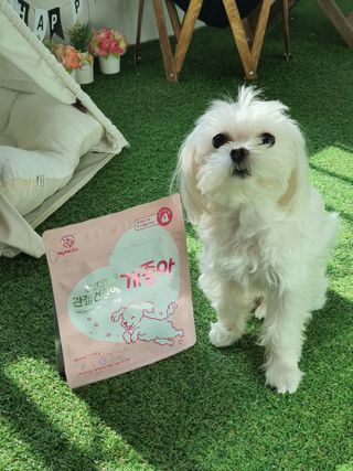 My Pet Care 천연단백질 관절건강에 개좋아 — 5점을 준 리뷰어가 2021년 3월 올린 사용 사진