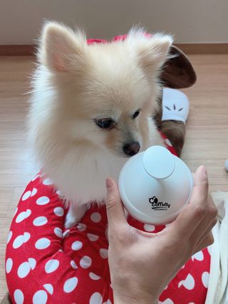 철부지개엄마님이 올린 리뷰 사진 2