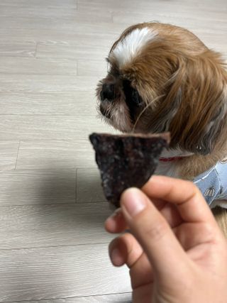 햄쓰님이 올린 리뷰 사진 3