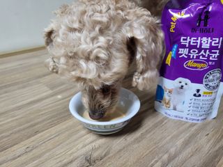 진진이님이 올린 리뷰 사진 1