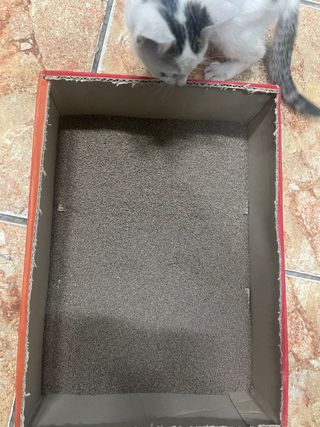 이로운님이 올린 리뷰 사진 4