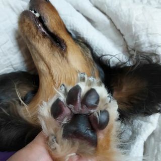 썬님이 올린 리뷰 사진 3