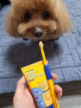 narae님이 올린 리뷰 사진 2