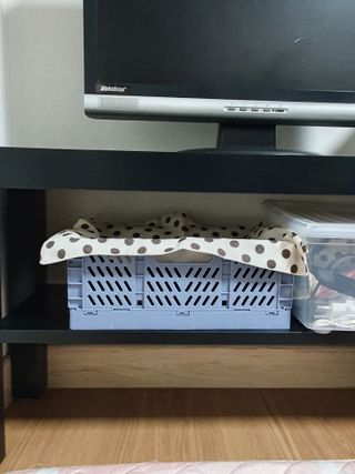 스녜님이 올린 리뷰 사진 2