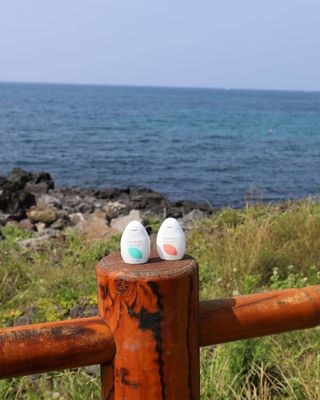 제주녀님이 올린 리뷰 사진 1