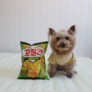솜희님이 올린 리뷰 사진 2