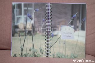 랑구마미님이 올린 리뷰 사진 2