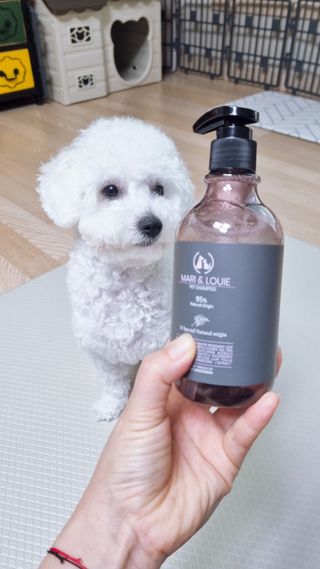 마리앤루이펫샴푸 [mari and louie pet shampoo] — 5점을 준 리뷰어가 2021년 6월 올린 사용 사진