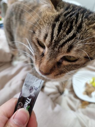 별빛달숲님이 올린 리뷰 사진 3