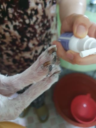 이챠님이 올린 리뷰 사진 3