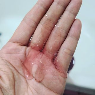 chdchddl님이 올린 리뷰 사진 2