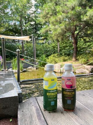 더그레잇티 콤부차 [매일유업] 더그레잇티 44kcal 콤부차 300ml *12개입 (오리지널 6개+베리리치 6개) — 5점을 준 리뷰어가 2023년 7월 올린 사용 사진