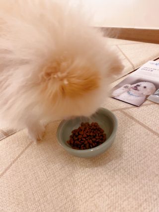 리디아은서님이 올린 리뷰 사진 2