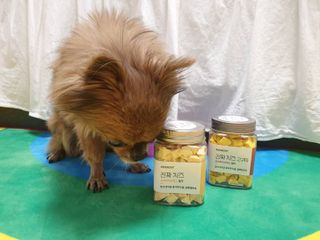 페페로니 진짜 프리바이오틱스 치즈+치즈고구마 180g+180g — 5점을 준 리뷰어가 2021년 7월 올린 사용 사진
