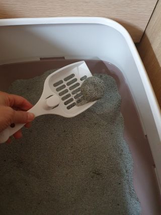 나이스님이 올린 리뷰 사진 3