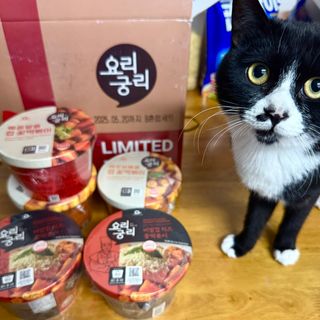나우  [요리궁리] B타입 ( 매콤, 치즈, 매콤까르보 ) 꽃떡볶이 6개입 세트 — 4.5점을 준 리뷰어가 2025년 3월 올린 사용 사진
