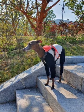 잭슨쓰님이 올린 리뷰 사진 2
