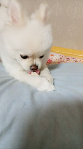 희야님이 올린 리뷰 사진 3