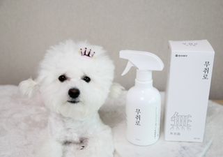 비니주니맘 :D님이 올린 리뷰 사진 1