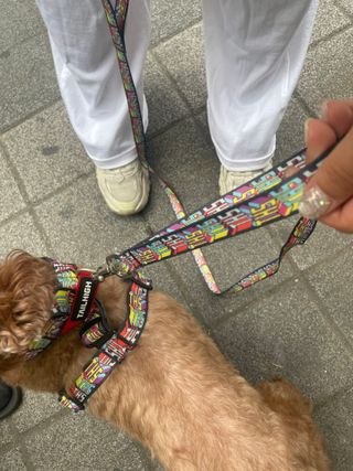 프롬님이 올린 리뷰 사진 2