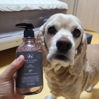 마리앤루이펫샴푸 [mari and louie pet shampoo] — 3점을 준 리뷰어가 2021년 5월 올린 사용 사진