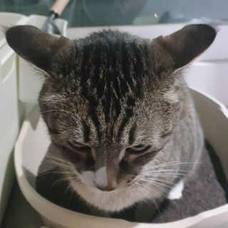 soojinn님이 올린 리뷰 사진 3