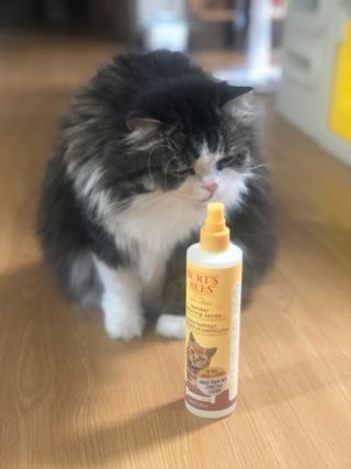 천상집사님이 올린 리뷰 사진 2