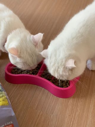 토우 프레이 칠면조 캣 — 5점을 준 리뷰어가 2021년 5월 올린 사용 사진