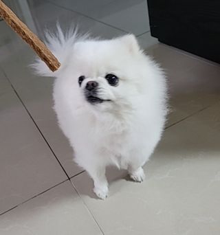퓨리아님이 올린 리뷰 사진 2