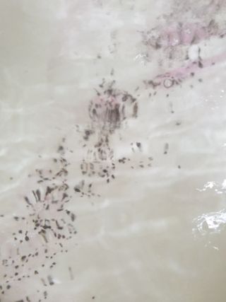 율쓰님이 올린 리뷰 사진 2