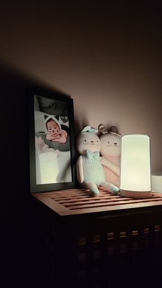 i_am_bboj님이 올린 리뷰 사진 3