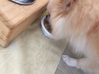 yoniyoni님이 올린 리뷰 사진 2
