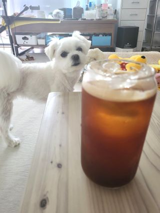 뽀오오옹님이 올린 리뷰 사진 1