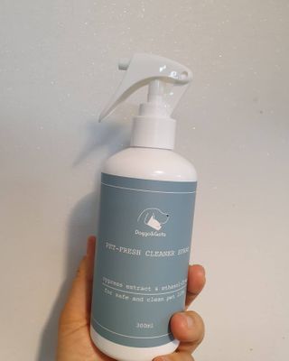 이쁜정똥이님이 올린 리뷰 사진 1
