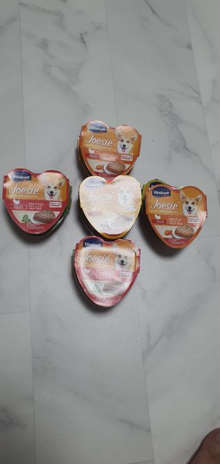비타크래프트 조에시 하트캔 85g 강아지 습식캔 10캔 — 5점을 준 리뷰어가 2021년 7월 올린 사용 사진