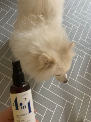 구름님이 올린 리뷰 사진 4