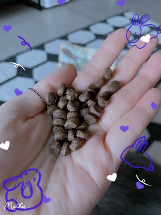 sehee님이 올린 리뷰 사진 2