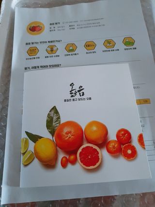 옳음 딸기 논산 설향 딸기 900g 산지직송 — 5점을 준 리뷰어가 2021년 1월 올린 사용 사진