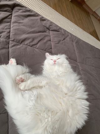 ㄹ진님이 올린 리뷰 사진 3