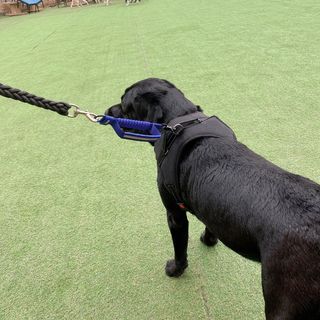 Lilly❤️님이 올린 리뷰 사진 2