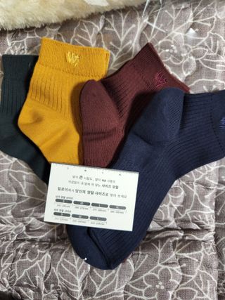 [사이즈가 있는 양말 필로이] 남/여 골지 발목 양말 4족 세트 남【S, M, L, XL】여【S, M, L】_컬러 랜덤 — 5점을 준 리뷰어가 2022년 6월 올린 사용 사진
