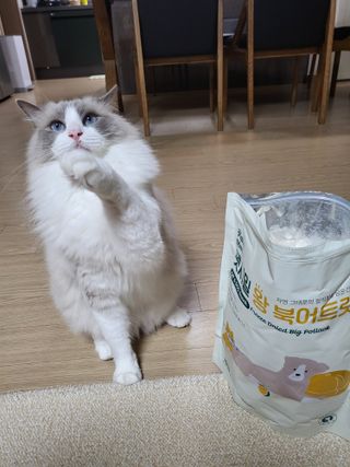[펫시밀] 원물그대로 영양듬뿍 동결건조 왕북어트릿300g,왕치킨트릿400g,열빙어트릿300g 대용량 간식 — 5점을 준 리뷰어가 2023년 5월 올린 사용 사진